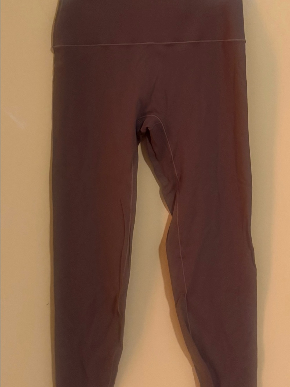 PARAGON High-Waist Leggings in Plum Brown